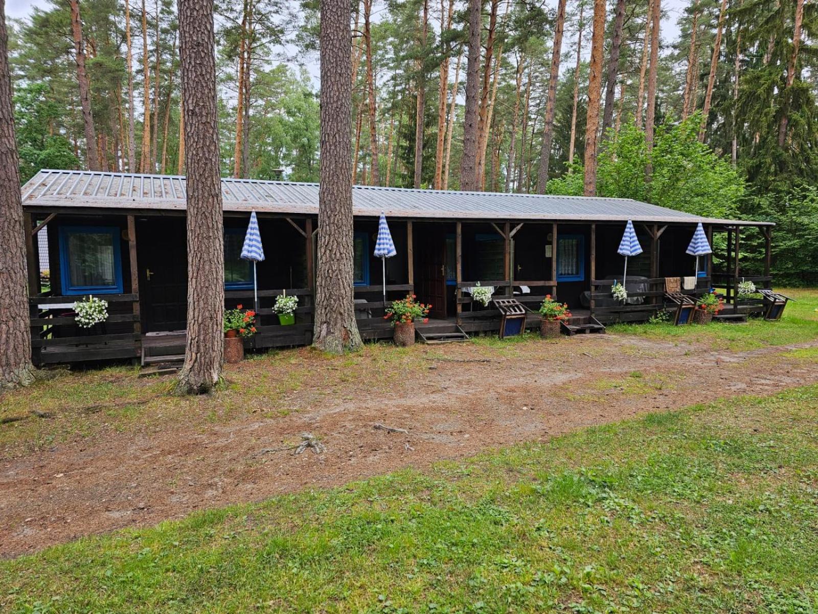 Osrodek Wypoczynkowy Warmia Villa Butryny Buitenkant foto
