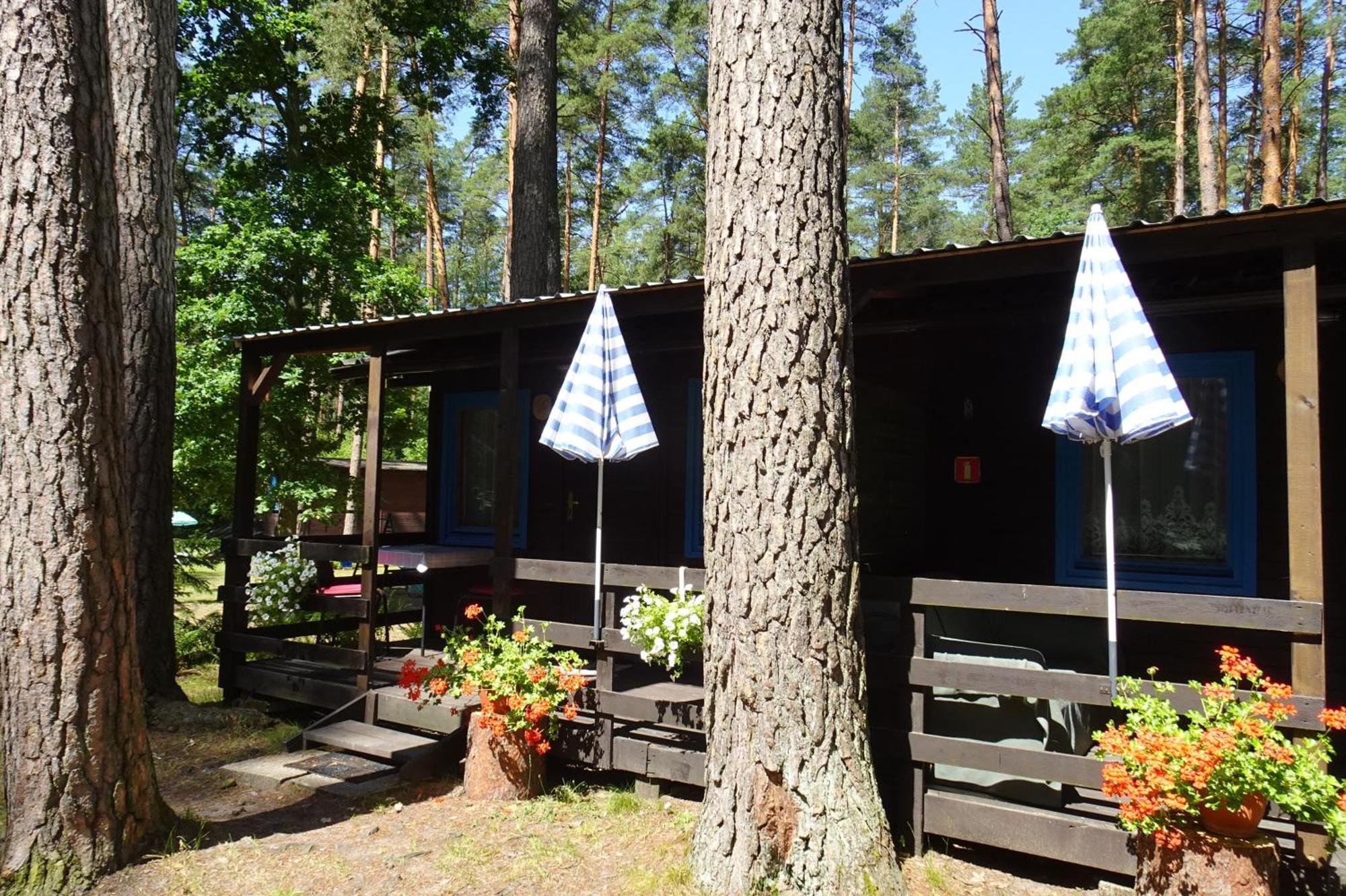 Osrodek Wypoczynkowy Warmia Villa Butryny Buitenkant foto